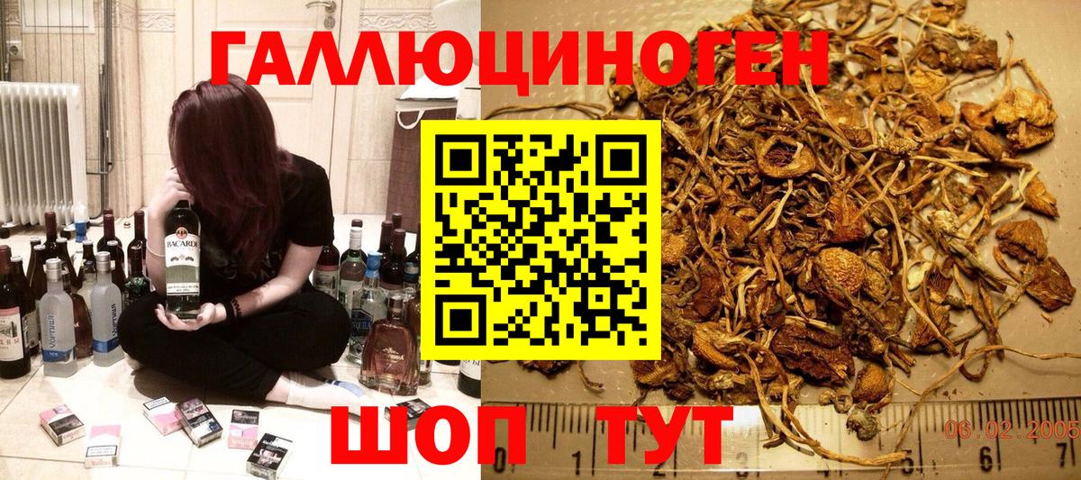 Псилоцибиновые грибы мицелий Дзержинск