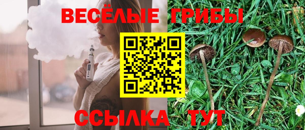 Псилоцибиновые грибы мицелий  Вход с VPN  Галлюциногенные грибы Magic Shrooms  Дзержинск 